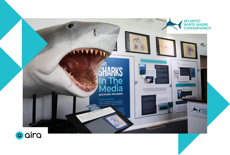 airaio's tweet image. Happy Global Accessibility Awareness Day! 

Starting today, visitors to @A_WhiteShark in Chatham and Provincetown can use the Aira app for free remote visual interpreting. Visitors can explore exhibits, events, and the shark shop. 🦈🌊

#AccessForAll #GAAD