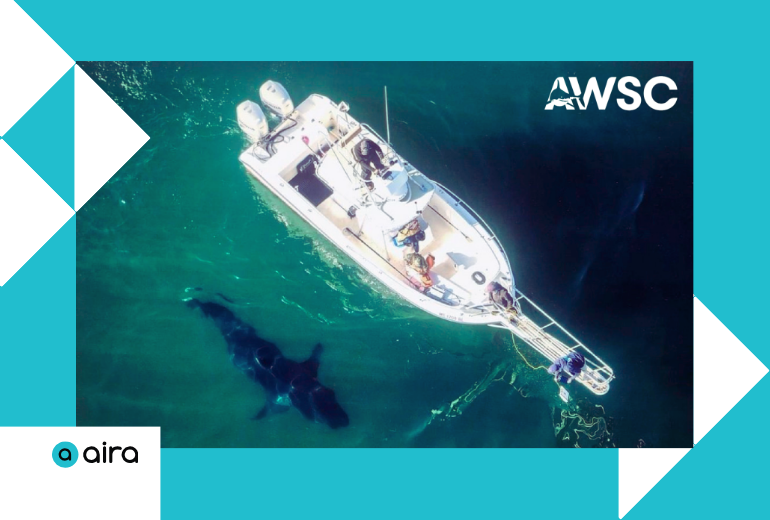airaio's tweet image. Happy Global Accessibility Awareness Day! 

Starting today, visitors to @A_WhiteShark in Chatham and Provincetown can use the Aira app for free remote visual interpreting. Visitors can explore exhibits, events, and the shark shop. 🦈🌊

#AccessForAll #GAAD