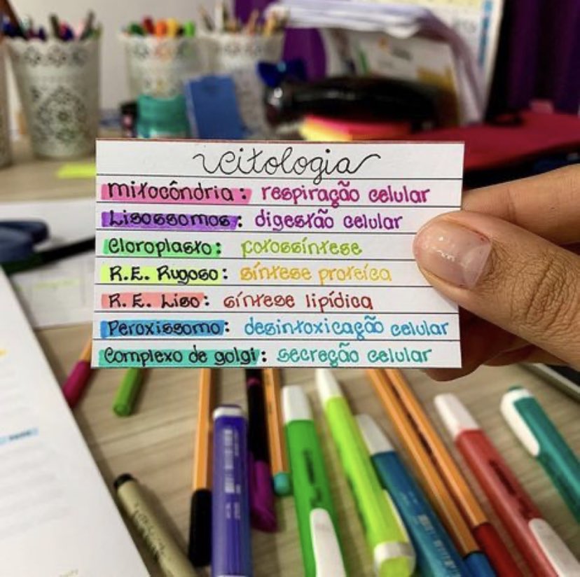 MedDescomplica1's tweet image. O que priorizar em NATUREZA faltando 6 meses para o Enem: