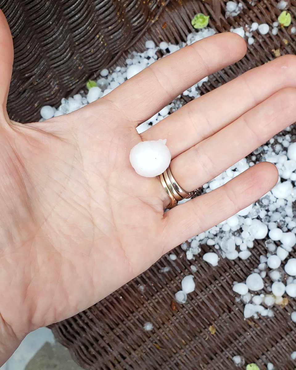 Holy hail batman. My screen room will need a new roof. Wowza! What storm!
