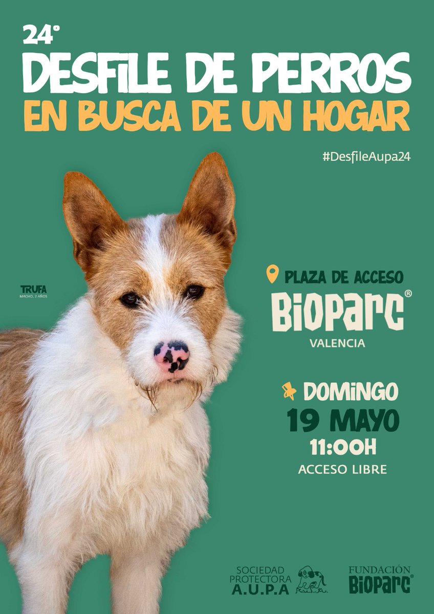 Si vas diumenge a la desfilada de gossos abandonats a la plaça d'accés a Bioparc segur que tornes a casa ben acompanyat! @Bioparc