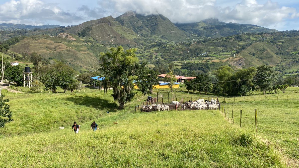 'En cada amanecer, la pasión ganadera nos llama a cuidar, proteger y mejorar nuestras razas.' @Fedegan @jflafaurie @FacatativaPl @PL_Zipaquira @ubate_pl @GirardotPLocal #OrgullosamenteGanaderos #ConstruyendoGanadería