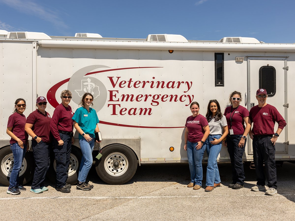 Four members of the Texas A&M Veterinary Emergency Team and four veterinary students have deployed to East Texas in response to historic river flooding affecting thousands of people and animals. #TAMUVetMed Read more: vetmed.tamu.edu/news/press-rel…