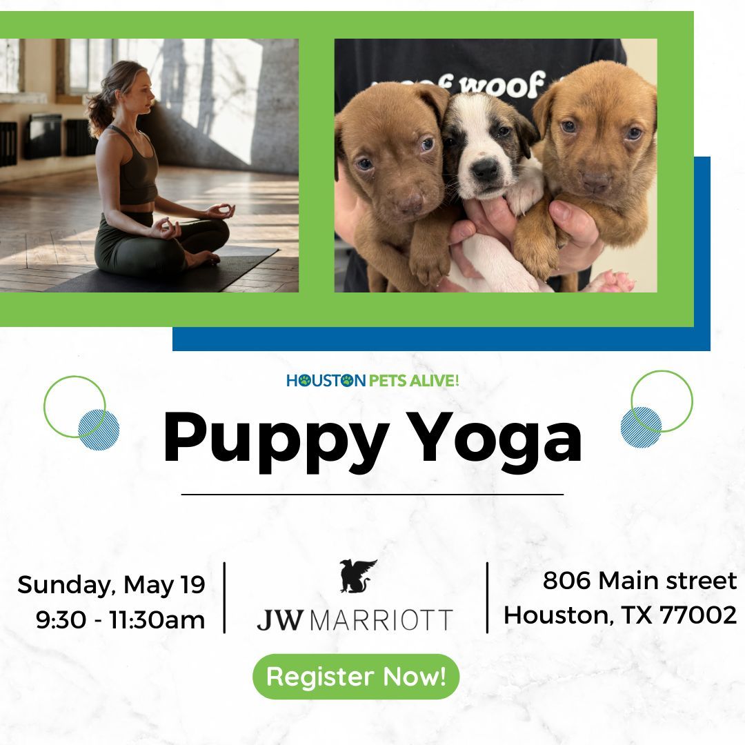 🐾 Join us for puppy yoga at JW Marriott Houston Downtown this Sunday, May 19th! Experience stress relief and positive vibes with playful puppies! 🧘‍♀️🐶 #PuppyYoga #houston #HTX #houstonpetsalive #HPA!