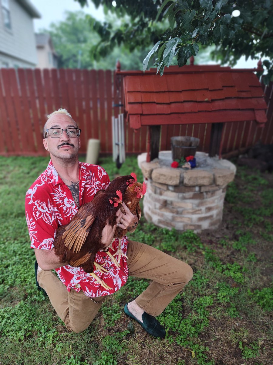 My handsome husband and his Triple Chickens. This is so wholesome. I am perfect. I mean my life is perfect. 😇