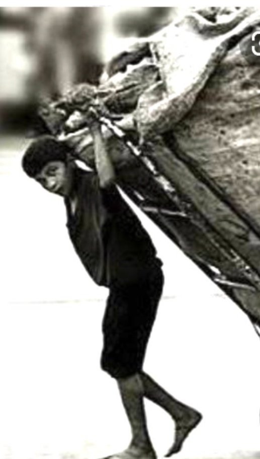 Her zaman,
Omzuna kelebek konmaz...