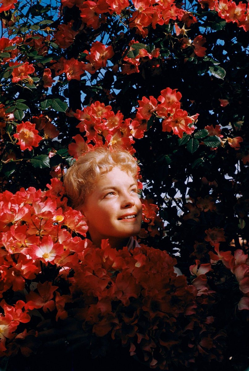 Romy Schneider during the 1957 Cannes Film Festival