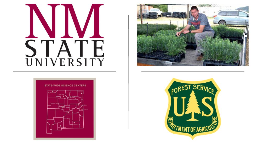 #NMSUResearch - Dr. Owen T.  Burney, professor of Silviculture at the John T. Harrington Forestry Research Center at Mora, is funded by @forestservice to conduct a conifer seedling project. @nmsu_aces @NMSUaes @NMSUResearch @CoresNmsu