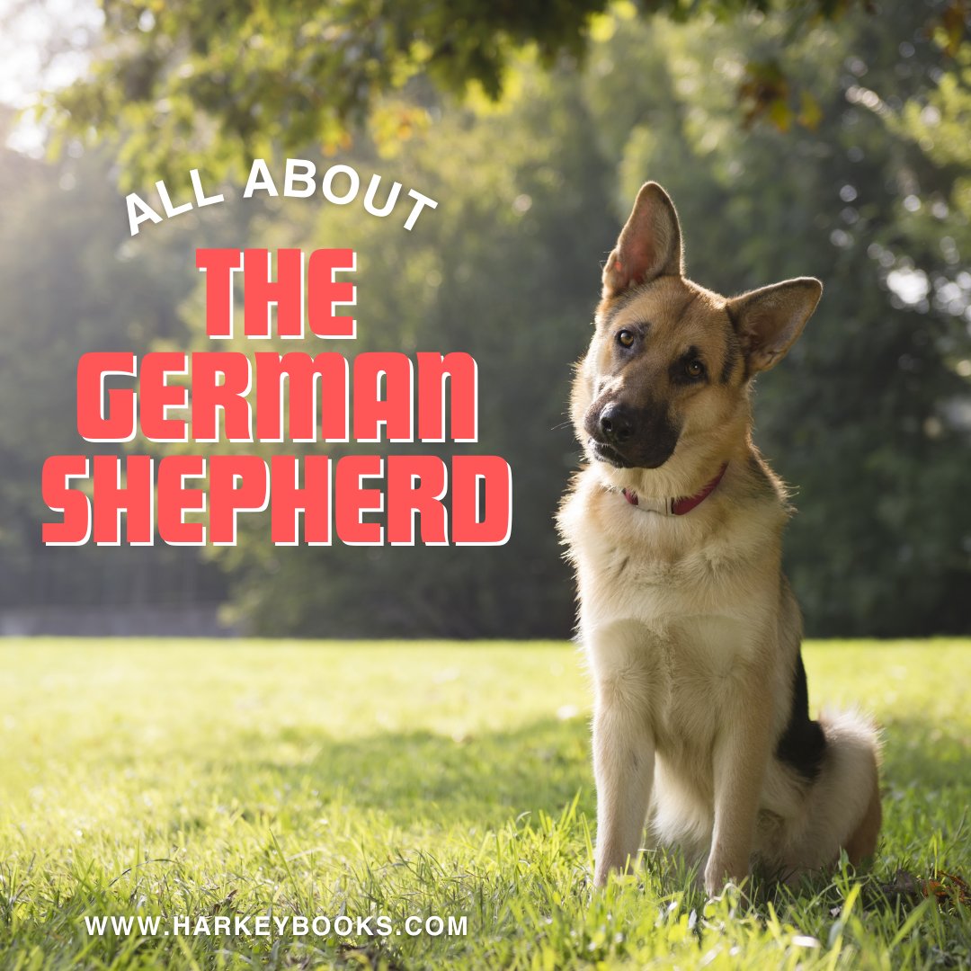 The Case of the Missing Pink Piggy features a German Shepherd. Some fun facts about them: 
1. Third-smartest dog breed
2. Worked alongside soldiers in WWI and WWII
3. The original guides for the visually impaired
4. The head helps them see and hear better

#KidLit #DogBooks