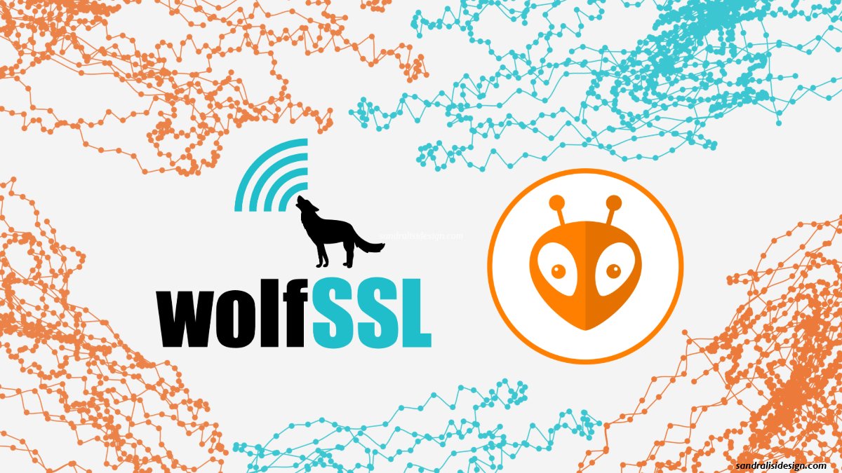 Elevate your projects with wolfSSL on #PlatformIO! With support for a wide range of boards and frameworks, including #Arduino and #Espressif #ESP32, wolfSSL ensures robust #security. Dive into the world of #encryption and #protect your data effectively! wolfssl.com/wolfssl-now-su…