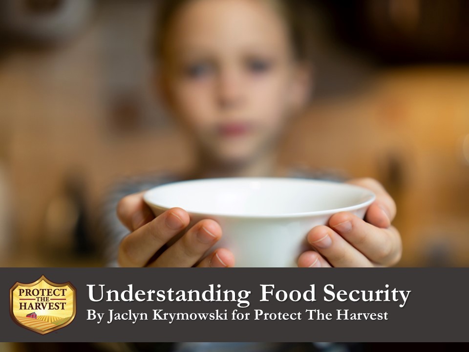 Food security is a much bigger issue than many realize.
#fooddeserts #food #foodshortage #costoffood #hunger #transportationcosts #supplychainissues  #nofood #unaffordablefood #hungrykids
protecttheharvest.com/news/understan…