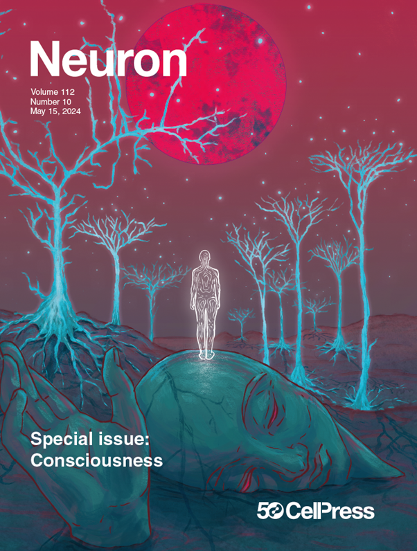 Our new special issue is a collection of reviews on the theory and neurobiology of consciousness, discussing current hypotheses and experimental evidence to define and assess consciousness and conscious perception. hubs.li/Q02xq9th0