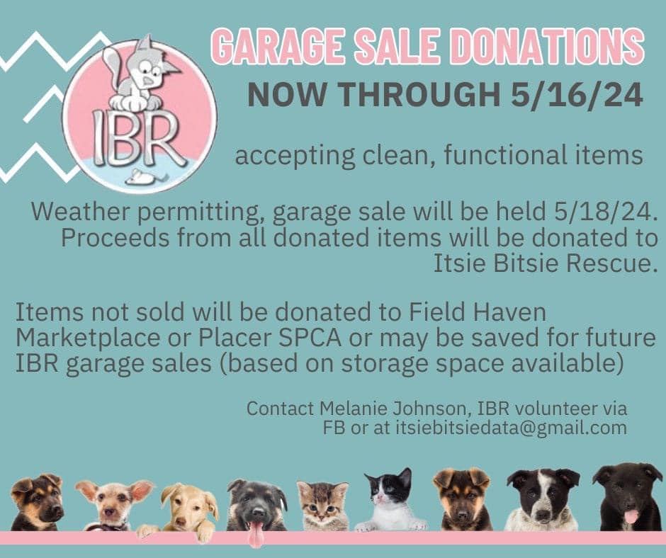 The ways you can give just keep growing!! Our lovely Melanie Johnson is hosting a #garagesale 5/18 and ALL proceeds go to IBR! Last day to donate to our garage sale, please email itsiebitsiedata@gmail.com Thank you in advance for all of your generosity 🩷🐾 #roseville