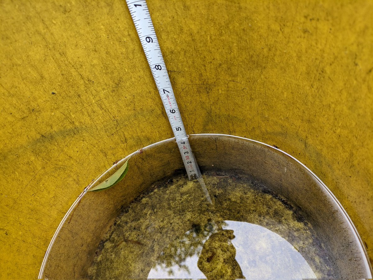 4.125" +/- .125" in rain bucket for past 28 hours on Cranston, RI 02921. #riwx <a href="/WX1BOX/">SNE Amateur Radio Skywarn</a> <a href="/NWSBoston/">NWS Boston</a> #spotterID_13397