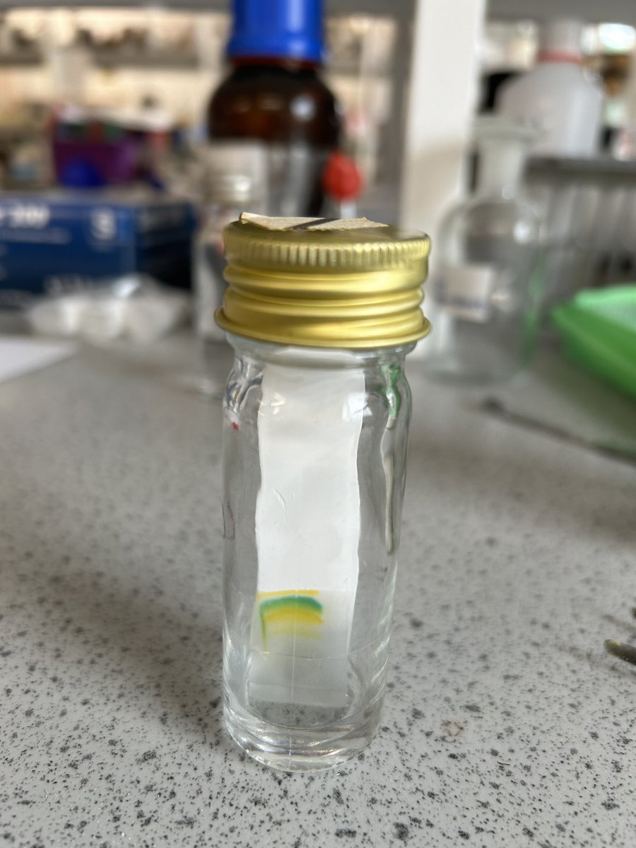 TAAsciencedept's tweet image. Really pleased with this first attempt at microscale leaf pigment chromatography on TLC plates ahead of our @SLPHertsEssex technician network meeting next week #microscale #biology #technicians