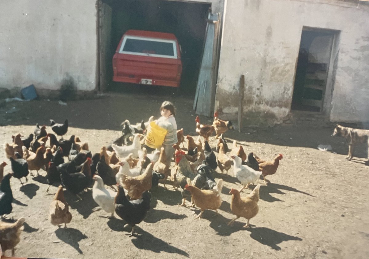 mientras tanto la foto más artística de mi infancia alimentando gallinas