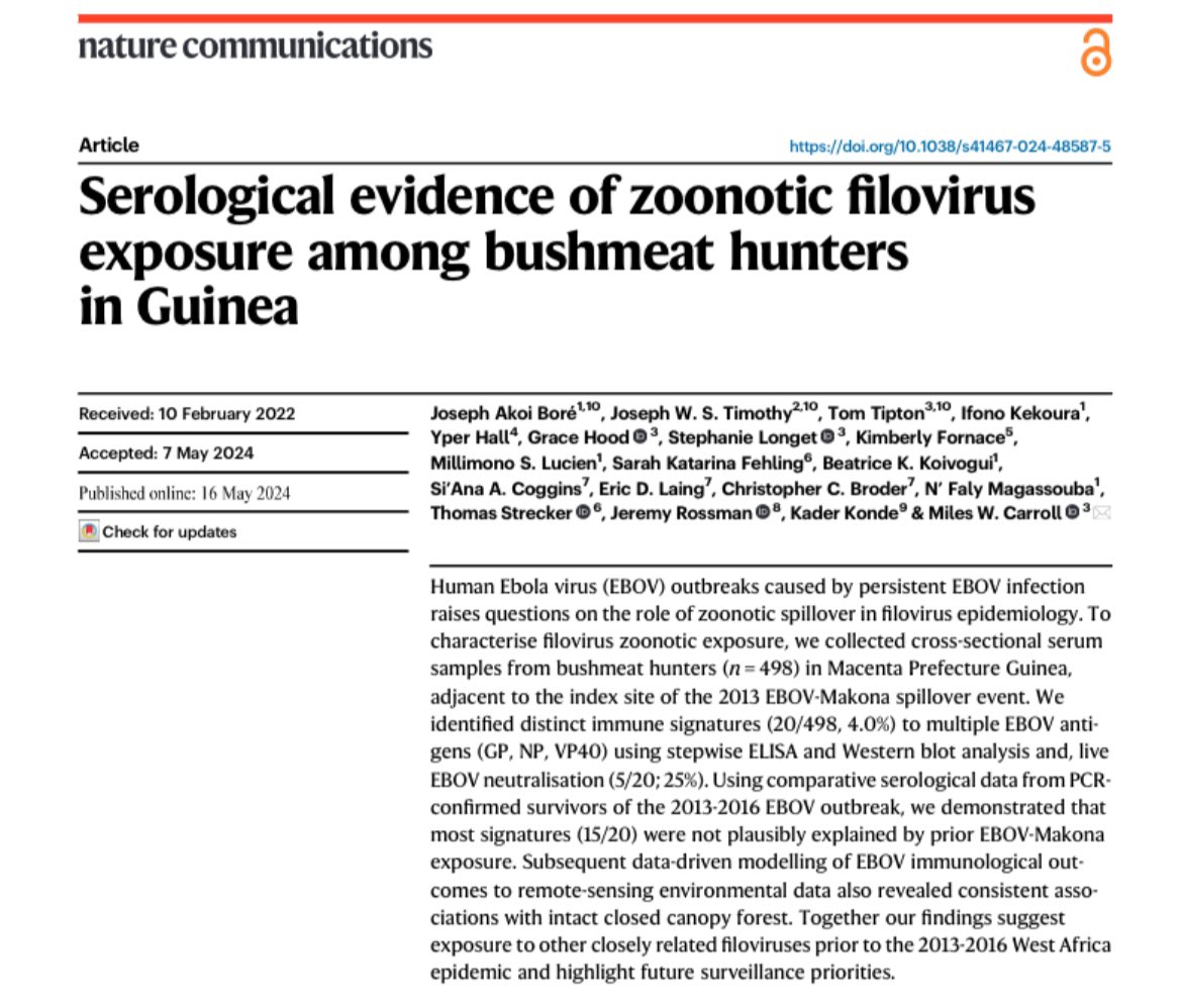 Serological evidence of zoonotic filovirus exposure among bushmeat hunters in Guinea New paper from our group + collaborators. Out now in @NatureComms nature.com/articles/s4146…