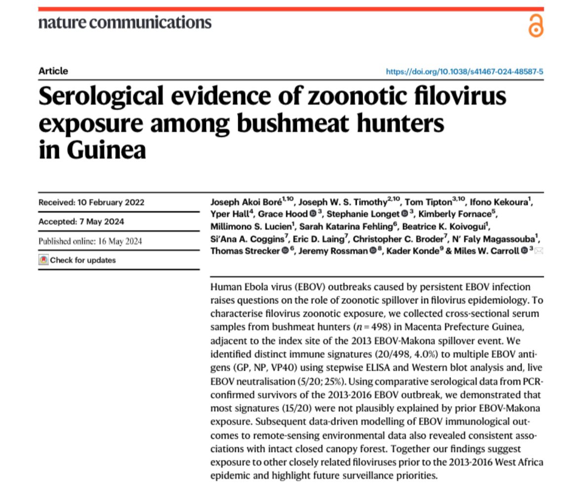 Carroll Lab (@carroll_lab_ox) on Twitter photo Serological evidence of zoonotic filovirus exposure among bushmeat hunters in Guinea
New paper from our group + collaborators. Out now in <a href="/NatureComms/">Nature Communications</a>
nature.com/articles/s4146… Serological evidence of zoonotic filovirus exposure among bushmeat hunters in Guinea
New paper from our group + collaborators. Out now in <a href="/NatureComms/">Nature Communications</a>
nature.com/articles/s4146…