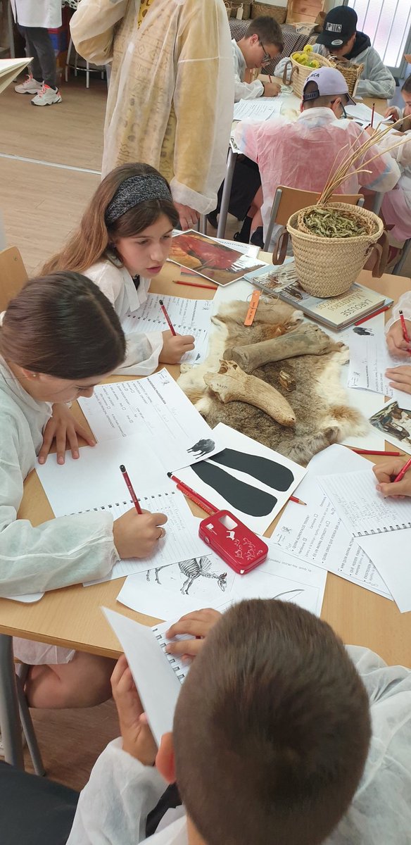 L'activitat 'Animals a la prehistòria ' és una passada. Avui l'hem fet amb les nenes i nens de CM I CS de  l'Escola la Popa de Castellcir.  Treball en equip, indagació, comunicació de resultats,... Això és aprendre gaudint de l'aprenentatge! #aprendreambelscampsientorns
