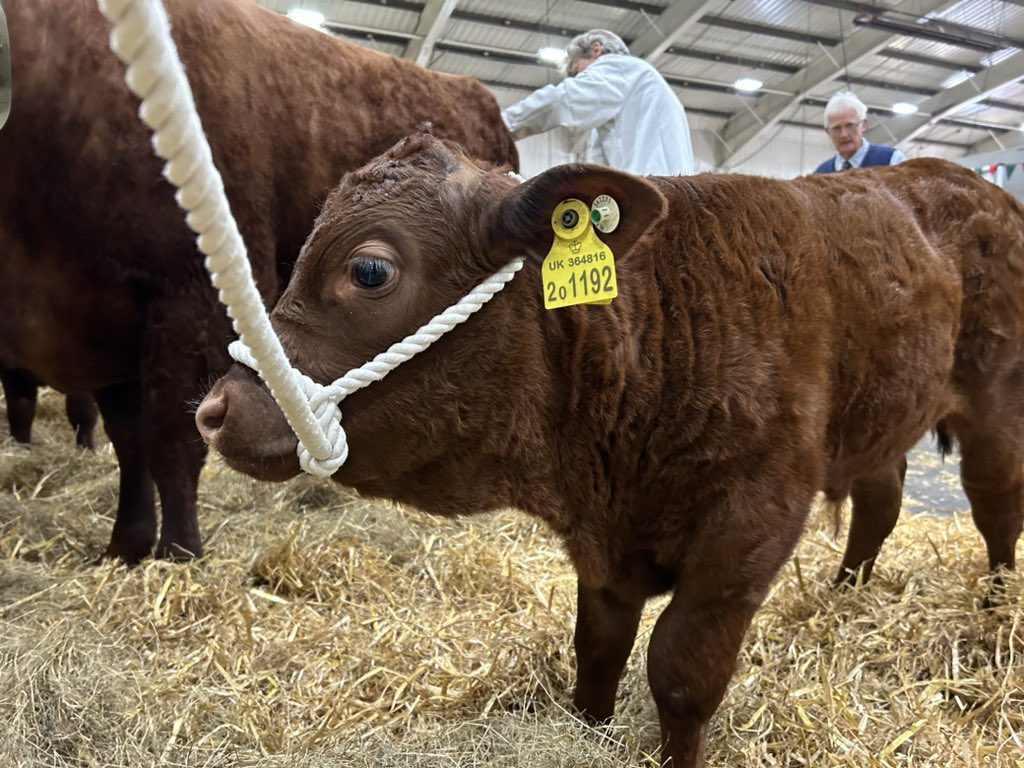 Enjoyable day at the @DevonCountyShow 🐄