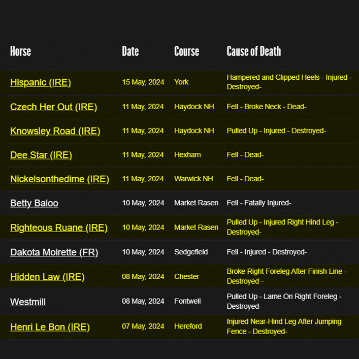 💔🐴 Another Irish horse killed in racing in the UK: 4-year-old 'Hispanic' was injured and destroyed at York racecourse yesterday. So far this month, at least 8 Irish horses have been killed at UK racecourses horsedeathwatch.com #YouBetTheyDie Say NO to horse racing ❌🏇❌