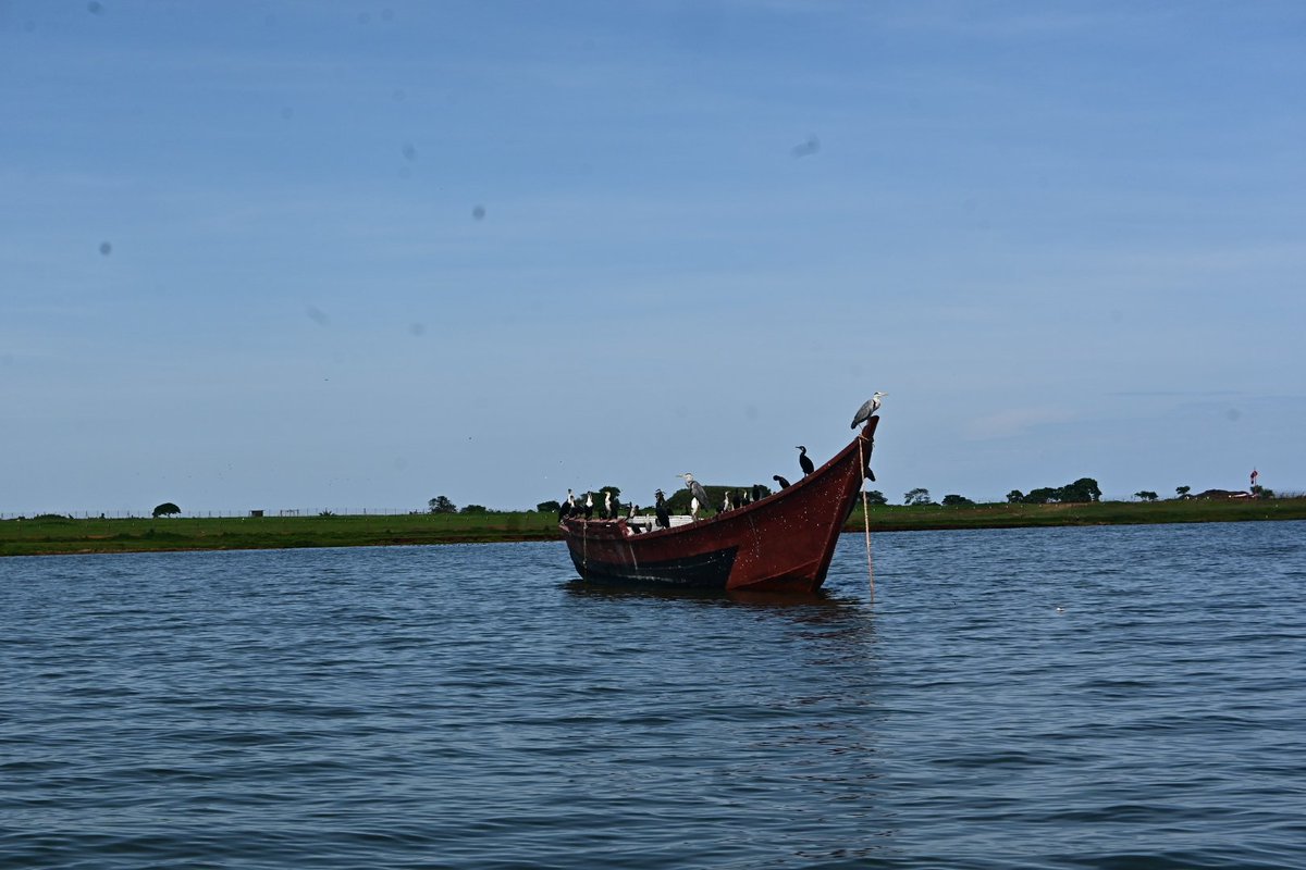ffmariet's tweet photo. Aangekomen in #uganda en gelijk even met bootje Victoria Lake op geweest naar het midden van de aarde #equater https://t.co/8c3bYOwmUs