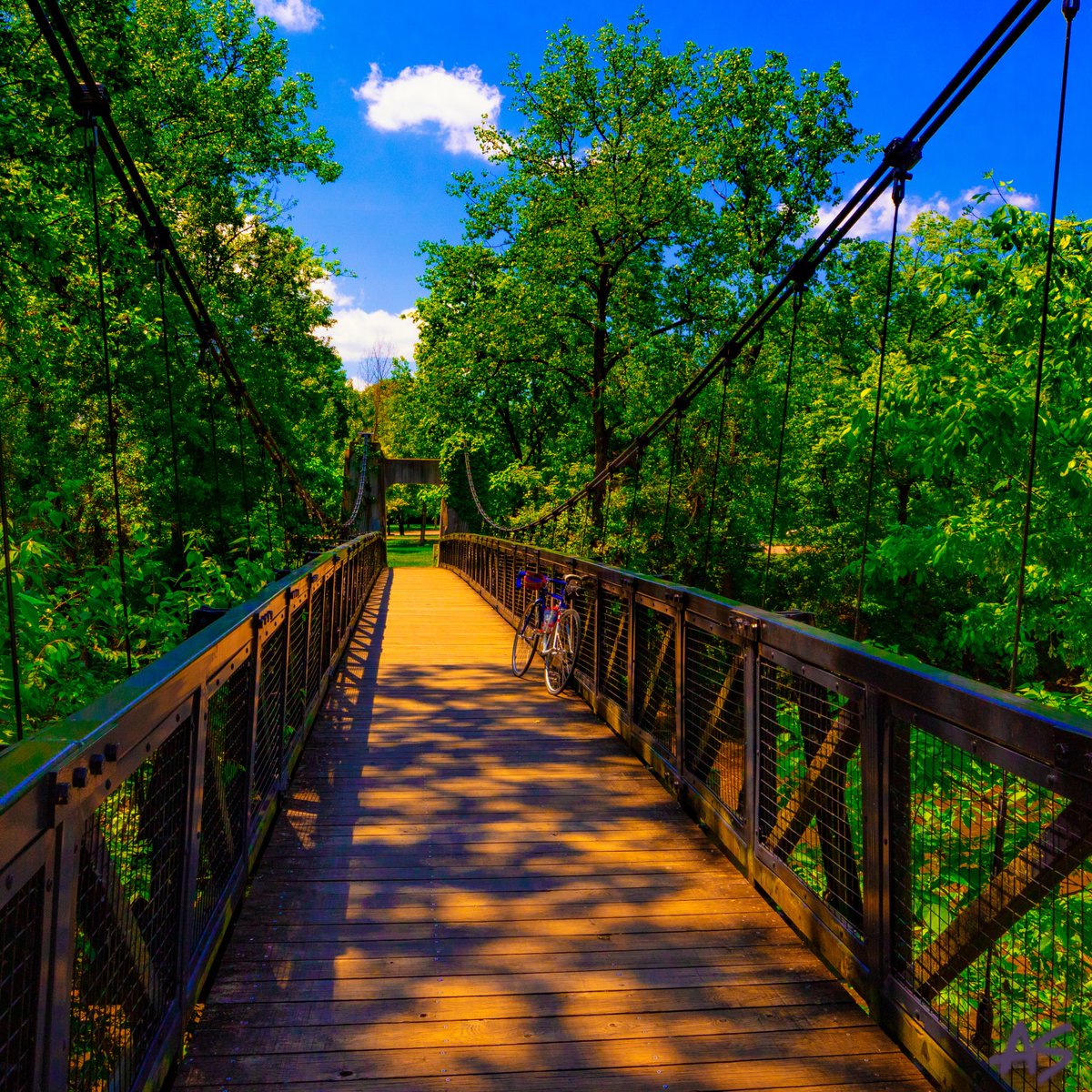 It’s a beautiful day! Wheeeeeeee! 🌳💕🚵‍♂️💕🌳 #bikeride #bridge