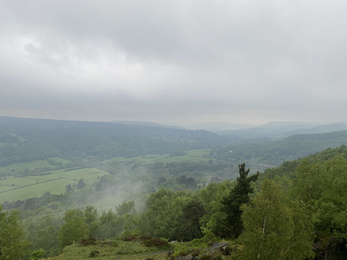 Whilst I’ve loved the warm weather we’ve had recently, I still love to see the woods cloaked in mist and gloriously green. An evening cuckoo calling in the light breeze. #peakdistrict