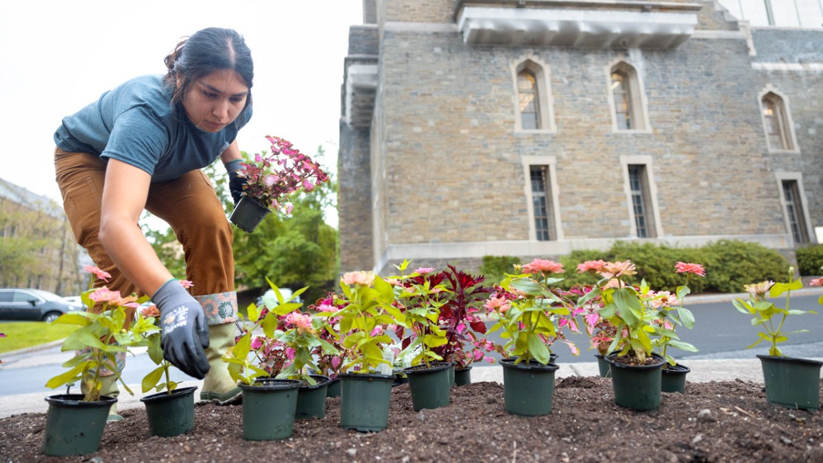 Photos of the Week @Cornell for the week of May 13. news.cornell.edu/picture-cornel…