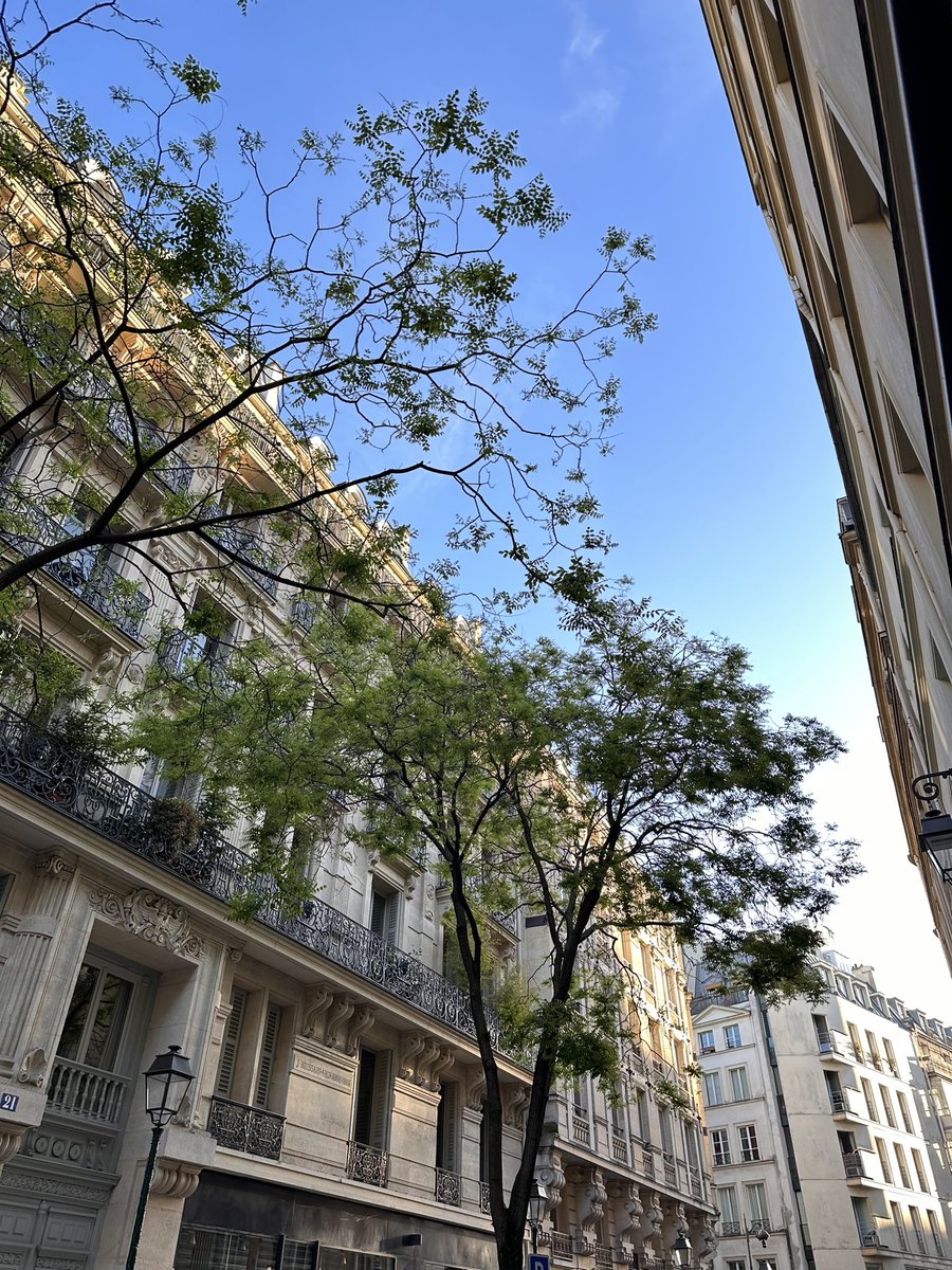 ArianeeProject's tweet photo. Happy ThursYay from Paris https://t.co/5j1PPnsnZ2