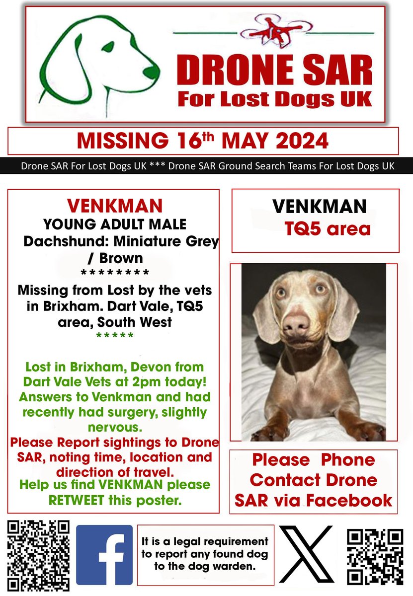 #LostDog #Alert VENKMAN Male Dachshund: Miniature Grey / Brown (Age: Young Adult) Missing from Lost by the vets in Brixham. Dart Vale, TQ5 area, South West on Thursday, 16th May 2024 #DroneSAR #MissingDog