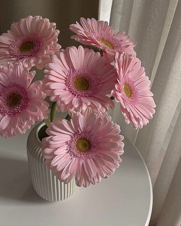 just Flowers (@just_flowers_11) on Twitter photo 
