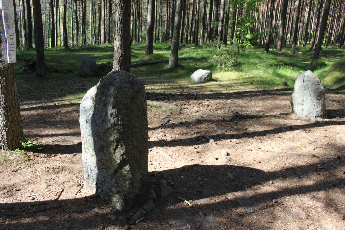 We wsi kaszubskiej Wãsorë (Węsiory). Jest to miejsce pochówku z I-III wieku. Na cmentarzysku znajdują się kręgi kamienne i kurhany.