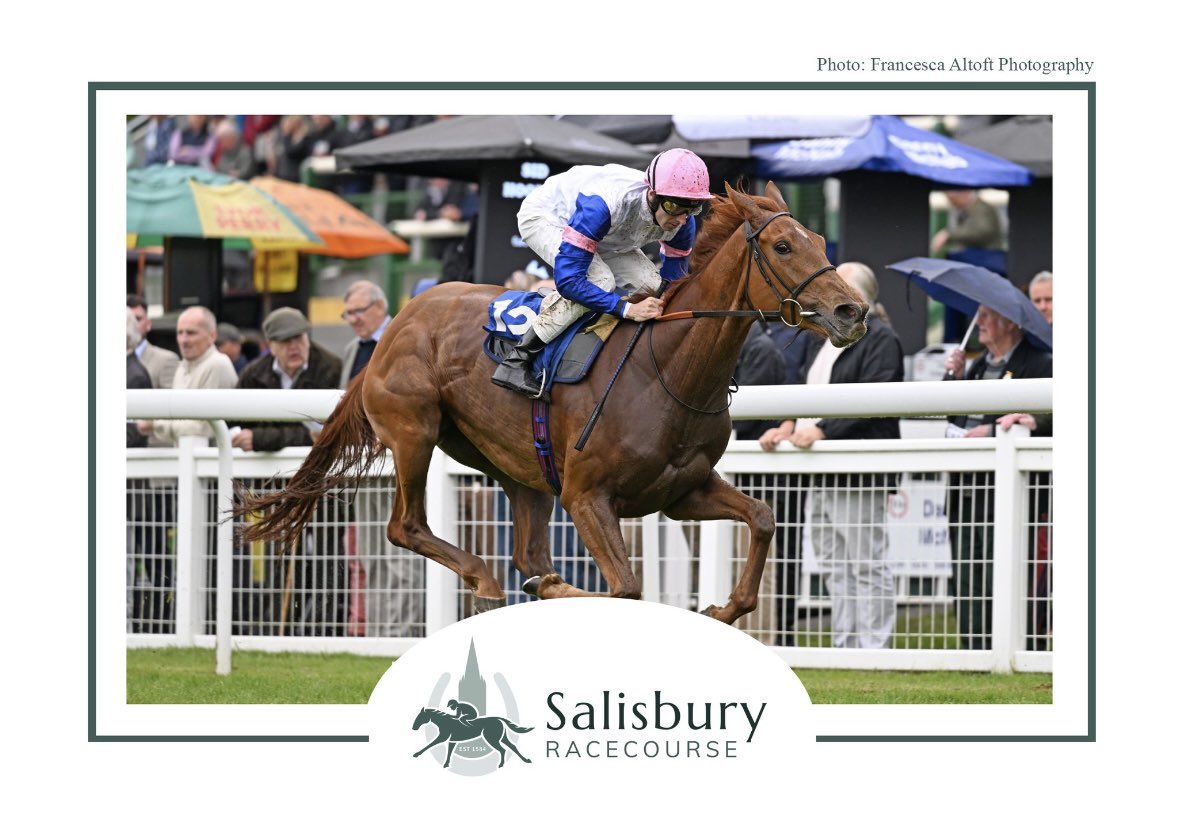 3yo fillies heating up 🔥 OXFORD COMMA 🩷💙🤍 (@newsellspark Nathaniel) breaks her mdn in style @salisburyraces for Valmont & breeder’s @BallylinchStud 👏@RalphBeckett & @HectorCrouch 🤜🤛 Purchased @Tattersalls1766 Book 3 📖