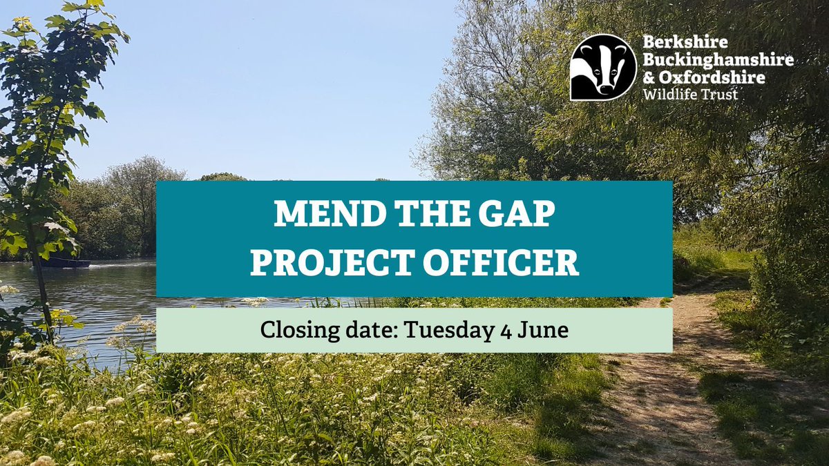 We’re looking for a Mend the Gap Project Officer to provide wildlife-friendly management advice and deliver habitat enhancement works, supporting landowners to act for nature. Click here for more information and to apply: buff.ly/3ynrKZo 📷 Sarah Attwood