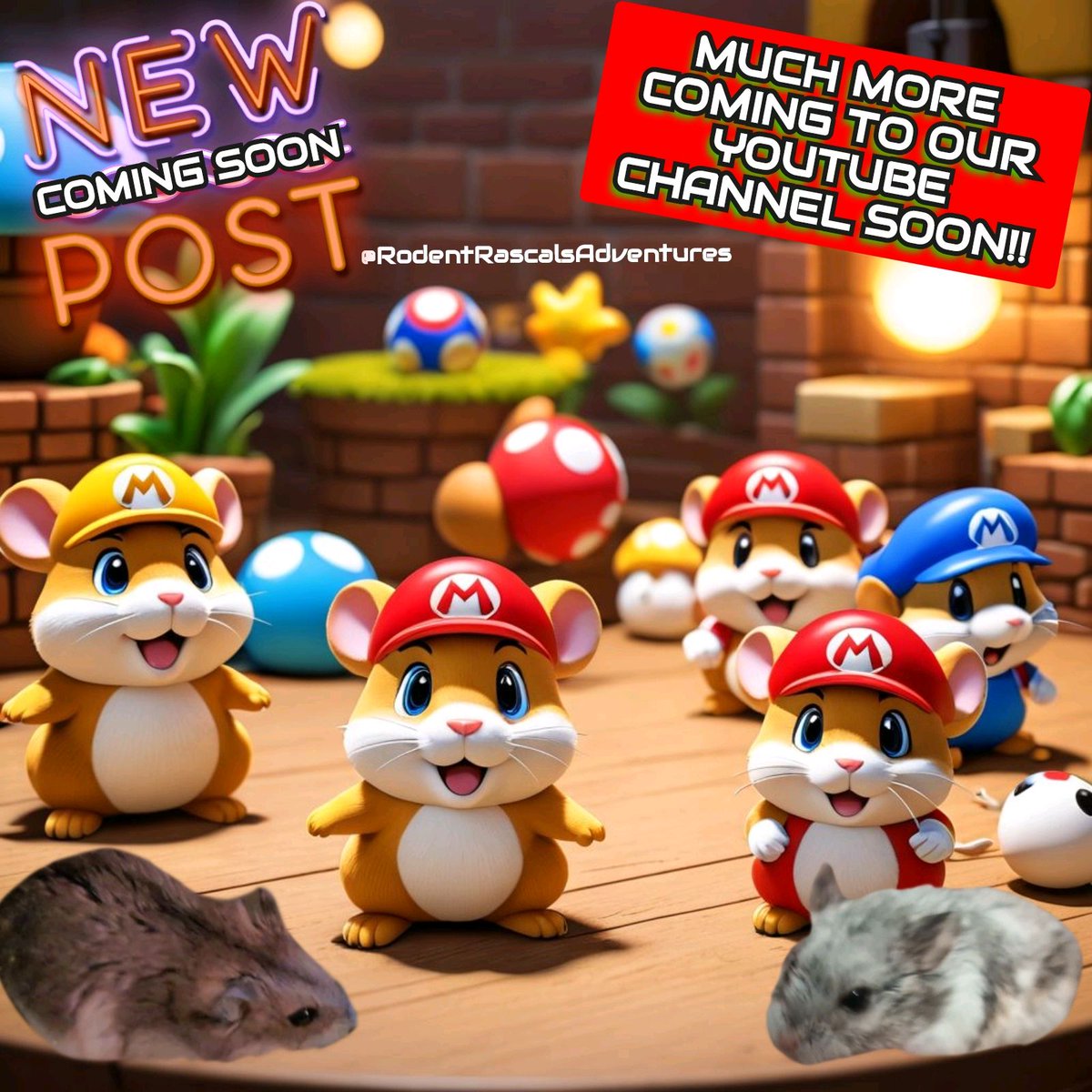 🔜🦸‍♂️🐹 #ComingSoon 🍄 Be on the lookout for our SUPER HAMMIE BROTHERS in their NEW HAMSTERIFIC ADVENTURE this Saturday only on our YouTube Channel!! 🔔 Subscribe now!! #hamster #dwarfhamsters #pets #photooftheday #hamsterfun #hamsterdaily ❤️🐹🐽🐀💻⬇️ #RodentRascalsAdventures