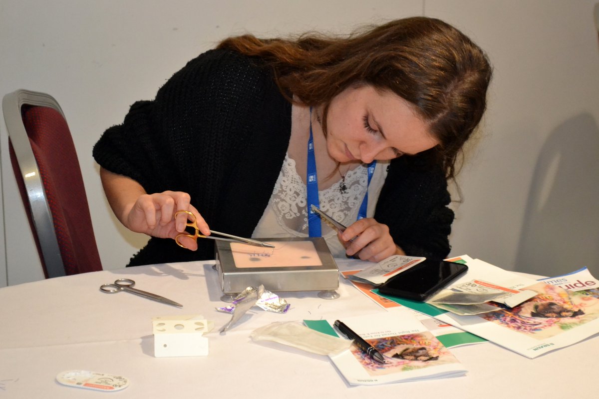 All Sewn Up: The Art of Suturing 📆 12th June, 7-9pm 📍 SRUC Aberdeen Campus 🗣️ Helen Stephens, VN, DipAVN (Surg) Learning Points: ✅ Identify different needles ✅ Advantages & disadvantages of suture materials ✅ Recognise suture patterns More info here; members.bvna.org.uk/events/66436e1…
