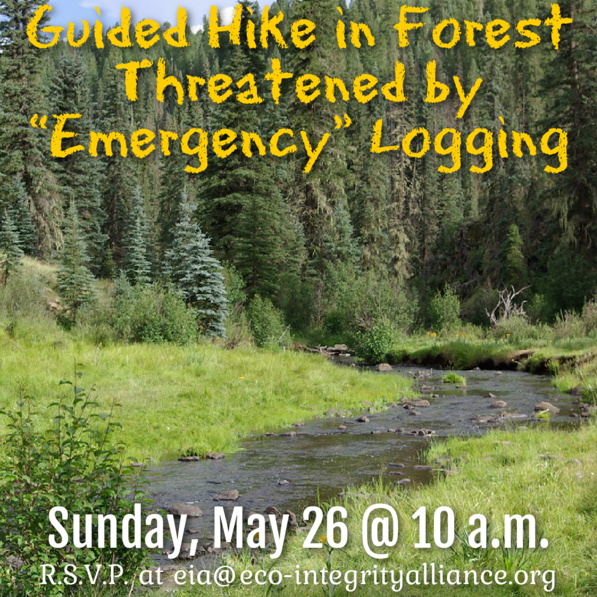 Close to 30 people have RSVPed for our Guided Hike in Colorado Forest Threatened by “Emergency” Logging! 

#colorado #climateaction #stopthechop