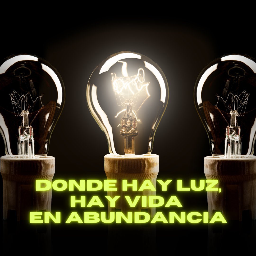 Sin luz, nuestro planeta sería un lugar gélido, sin vida. De hecho, donde hay luz, hay vida. De la ciencia al arte, la luz cumple un papel crucial en la comprensión del universo. En este Día de la Luz, celebremos cómo la luz ilumina nuestras vidas.