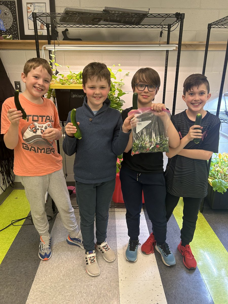 We did a little harvesting of our hydroponics this morning. We picked all our jalapeños and 4 zucchinis that were given to the cafeteria <a href="/GretnaG/">Gretna Green</a> school. The jalapeños will be dehydrated and then made into jalapeños salt!