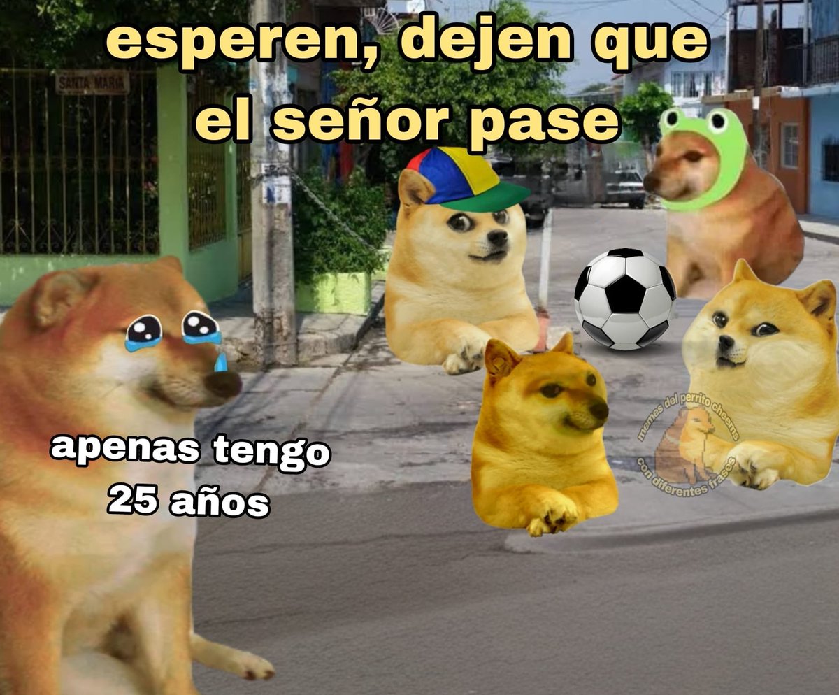 jajajajajajajaja 🐶