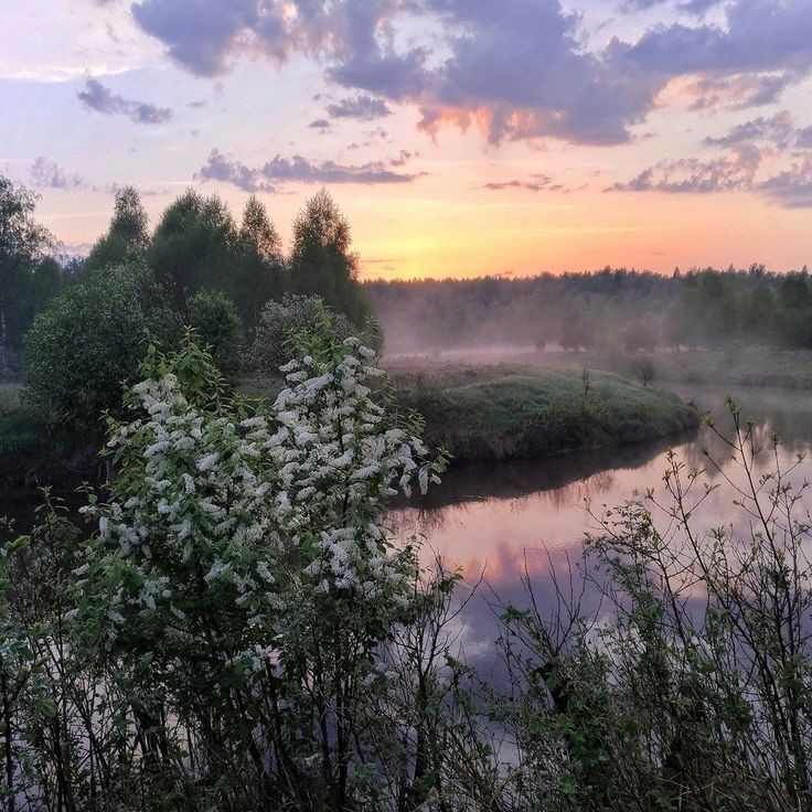 𝕰𝖑𝖊𝖒𝖒𝖎𝖗𝖊 tweet media