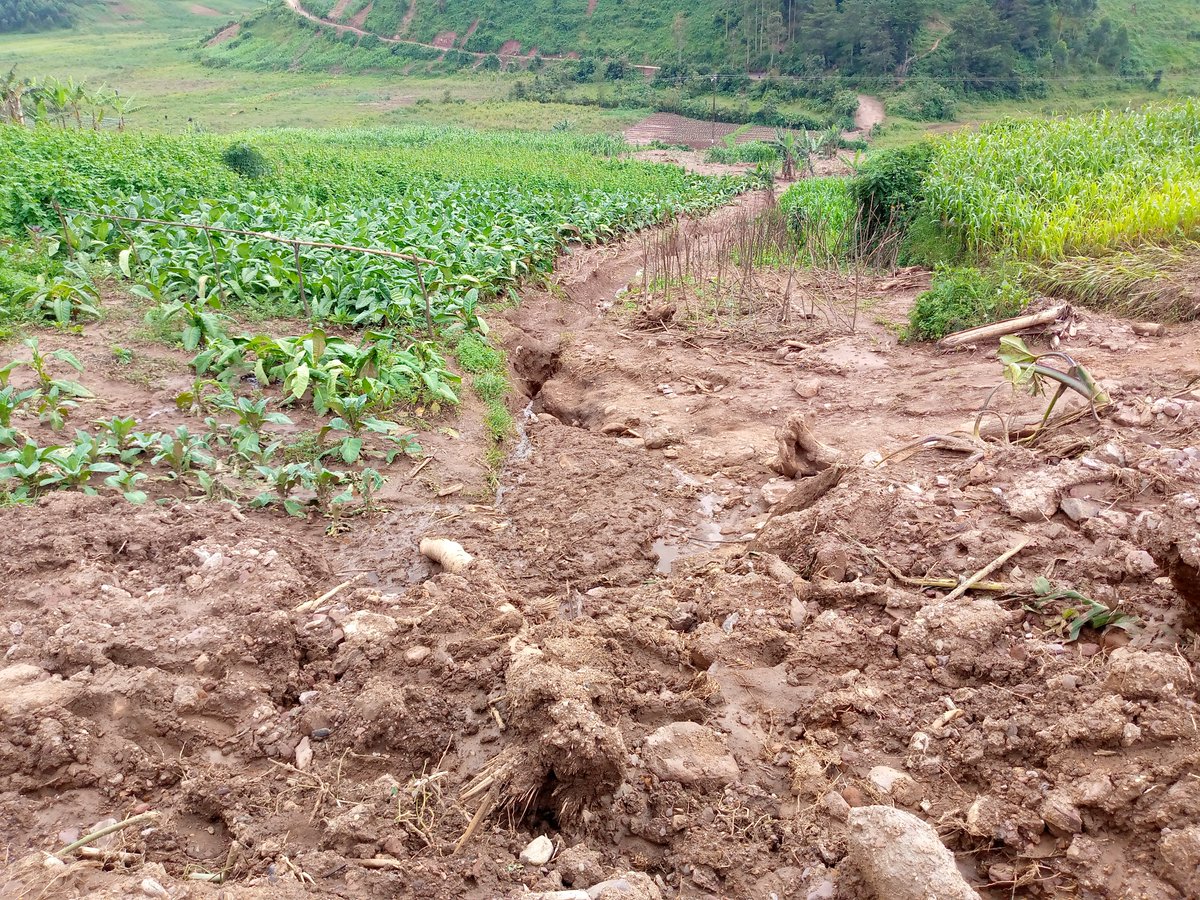 LANDSLIDES are destructive not only to crops and livestock but also to people. We need to develop strategies to reduce on their occurrence. #QUESTION: What can be done differently in our communities to reduce the effects of landslides? Comment, Like & Repost. #LetsFarmTogether