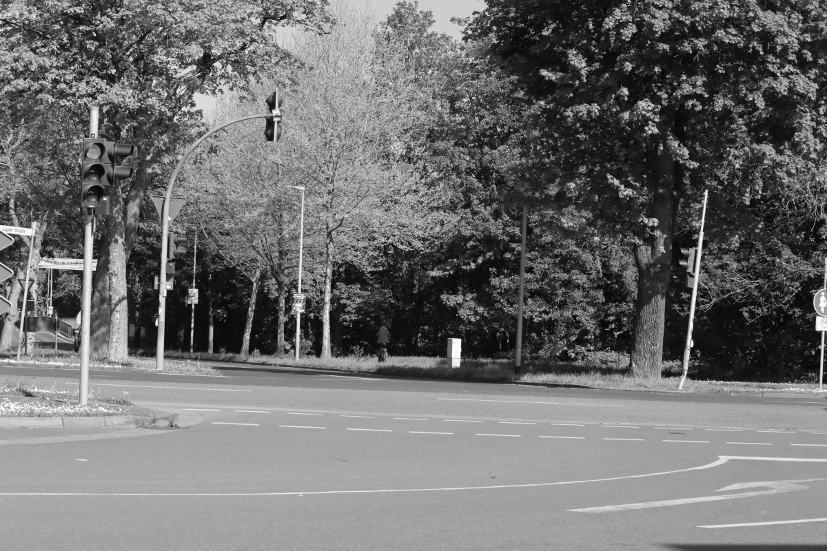 #photo #photography #blackandwhite #landscape #street #crossing #guy #Landschaftsfotografie #monochrome #landscapephotography #trees #blackandwhitephotography #beautiful