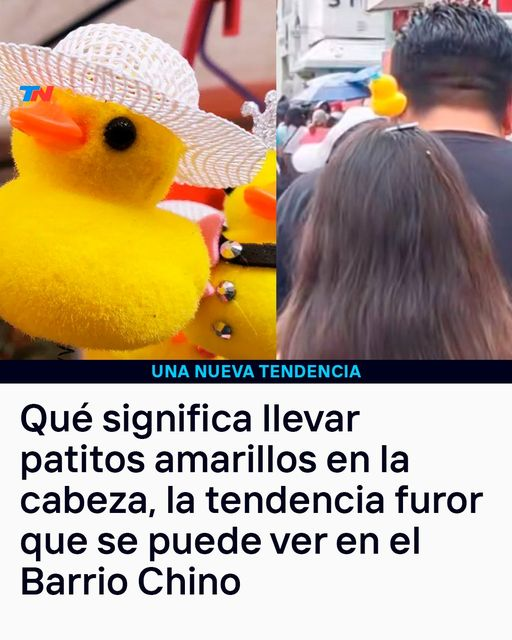 que sos un pelotudo