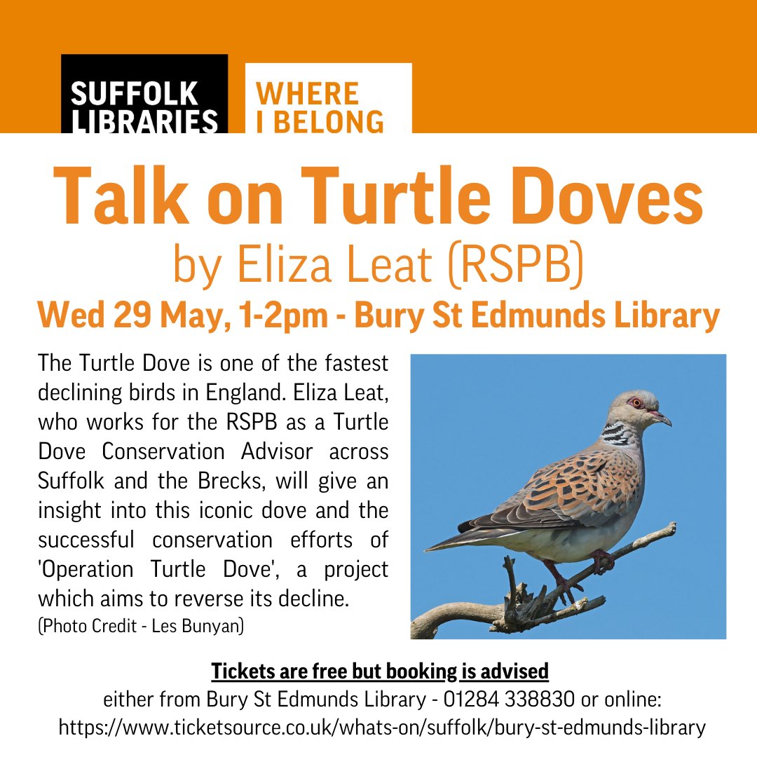 There is a Turtle Dove talk next Wednesday at BSE library by Eliza Leat, she gave an excellent talk to Suffolk Bird Group previously. Like Swifts, Turtle Doves need our help too. Do attend if you wish to learn more @SuffolkBirdGrp @PingoKatie @ScrubUpBritain