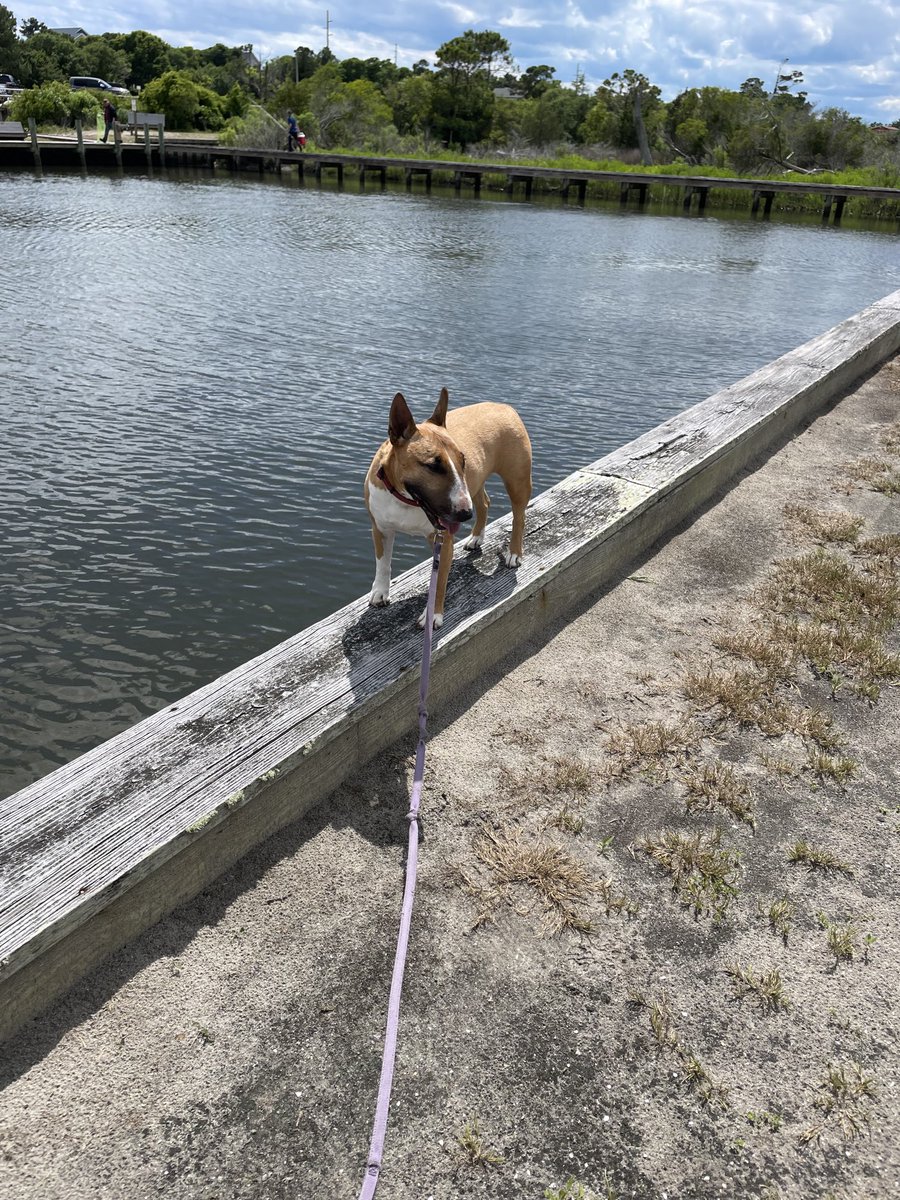 At the boat docks