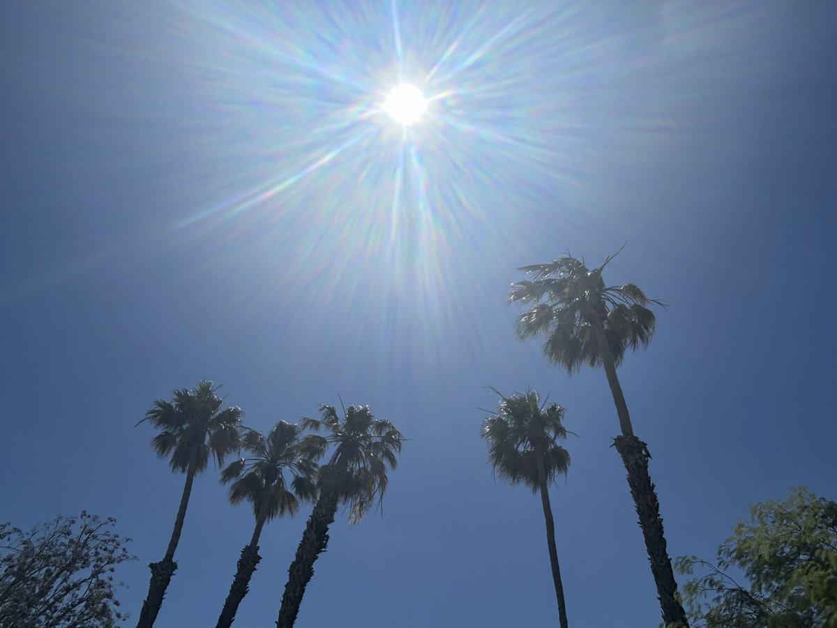 Nicola Smallcombe tweet media