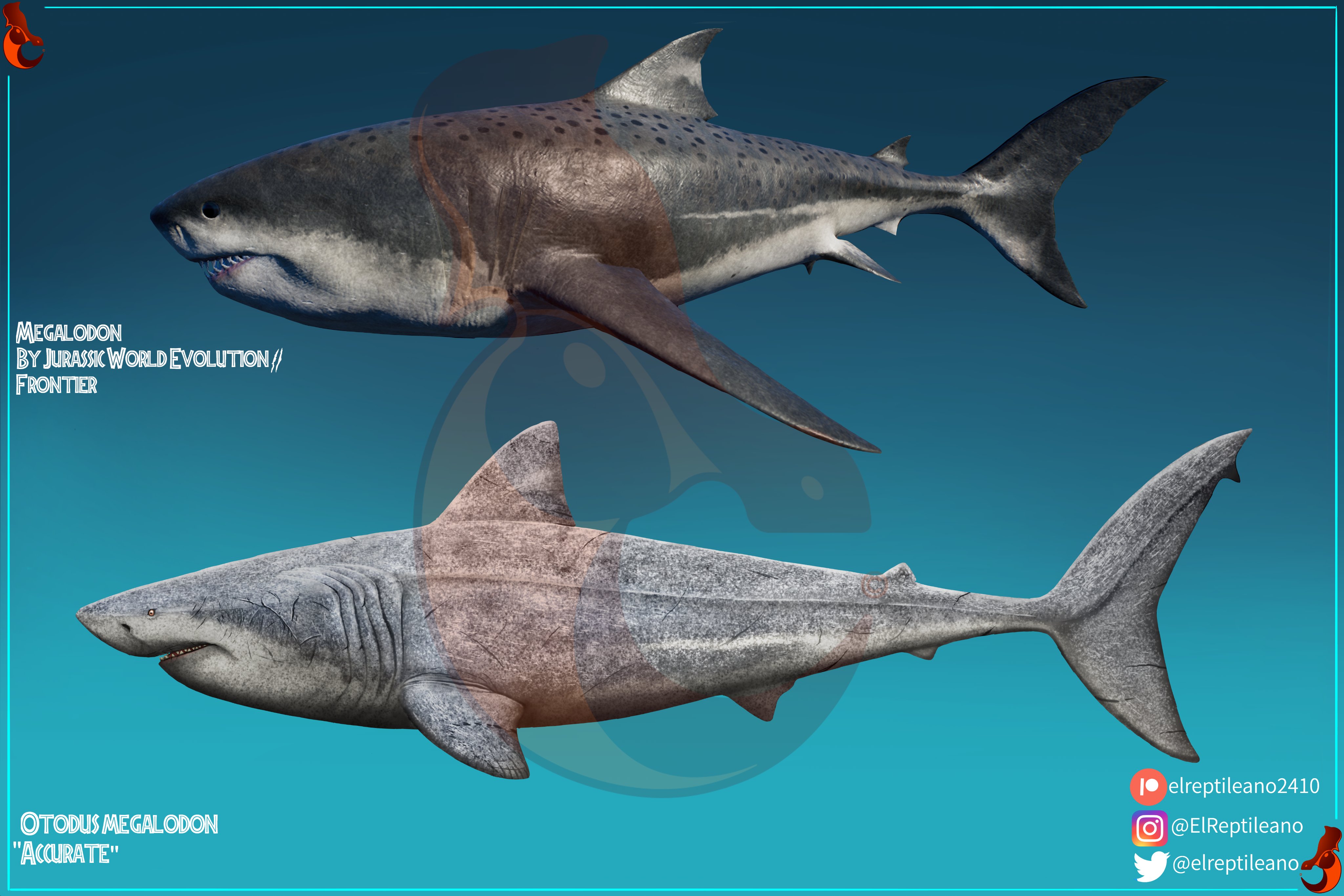 XユーザーのReptiさん: 「Otodus megalodon in its 