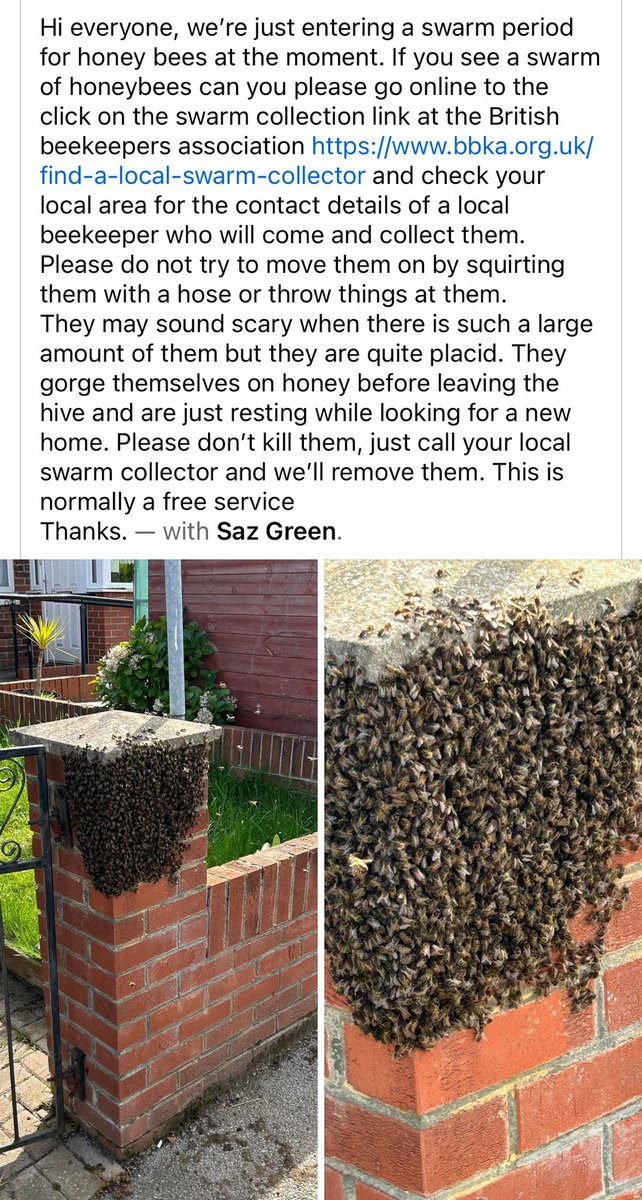 Great advice here.  🐝🐝🐝🐝🐝